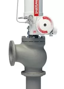 Erosion Resistant Control Valves - Survivor