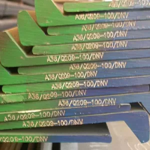 Gnee Steel- Flat-bulb steel