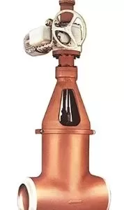 Flexible Wedge Gate Valves - Flex Wedge