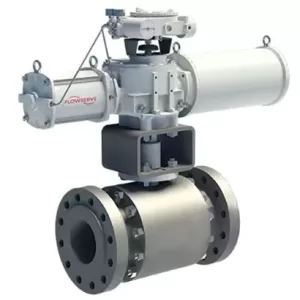 Full Port Ball Valves - TMCBV