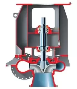 Nuclear Pumps - MEV