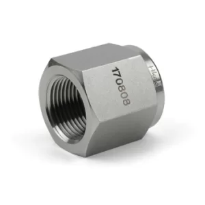 Hikelok Pipe Fittings-Pipe Cap