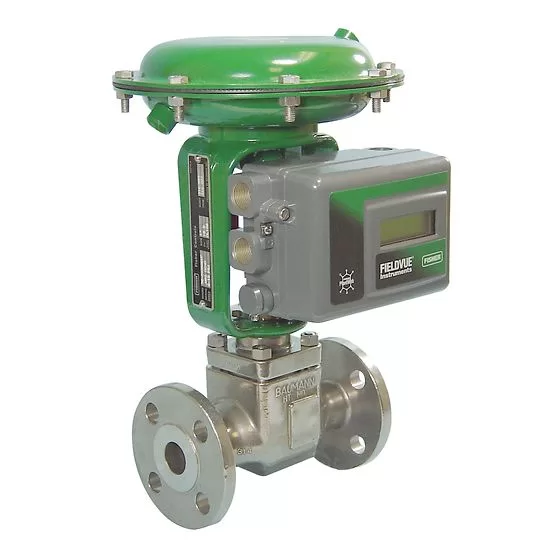Baumann™ 24000CVF Carbon & 24000SVF Stainless Steel Flanged Control Valves
