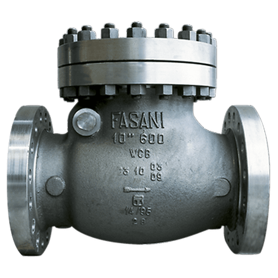 Fasani Bolted Bonnet Check Valves