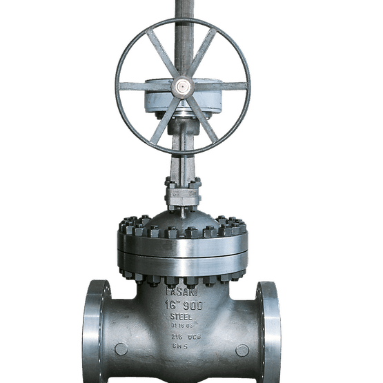 Fasani Bolted Bonnet Gate Valves