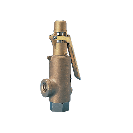 Kunkle Valve Models 189 363 389 Safety Relief Valves
