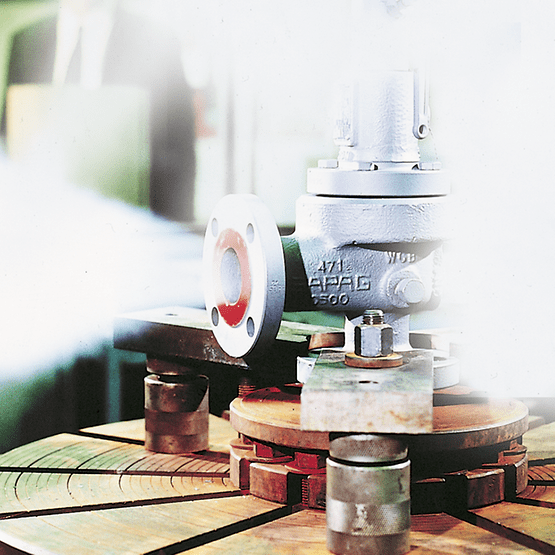 Sapag Series 8100 8200 Safety Relief Valves
