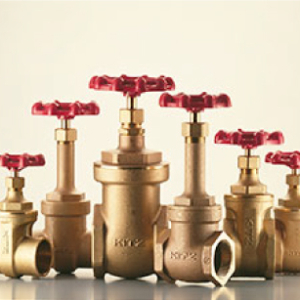 Kitz Gate valve