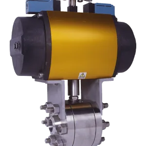 IMI Crittical Engineering 2 Way Ball Valve