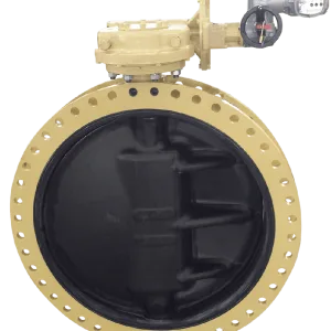 IMI Crittical Engineering DS Series