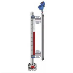 GMS Magnetic level indicator Gemini™