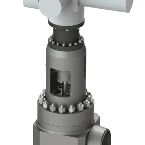 IMI Crittical Engineering NB Type Globe Valve