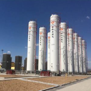 GMS  Vertical Cryogenic Tank